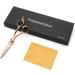 Professional Purplebird 6-Inch Hairdressing Scissors Sharp Japanese Stainless Steel Shears for Men & Women with Bronze Wing Grip - Buy Online on GoSupps.com
