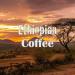 Ethiopian Yirgacheffe Coffee Ground 16oz - USDA Organic Fresh Roasted Ethiopia Yirgacheffe - 1lb Pack - Buy Online on GoSupps.com