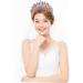 WATIIFUFU Bridal Crown Bridal Hair Decor Bride Headband Rhinestone Decor Bridal Headpiece Bridal Rhinestone Crown Hair Accessories for Brides Bridal Headwear Women Headdress Purple Alloy - Buy Online on GoSupps.com