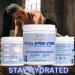 Total Hydration Electrolyte Replacement Mix - Unflavored Powder Supplement (90 Servings) with Potassium Magnesium Zinc & Pink Salt - No Sweeteners - Buy Online on GoSupps.com