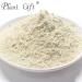 100% Pure Garlic Powder - Natural Healthy Spice for Smoothies, Cookies & Beverages - Non-GMO, No Fillers/Additives - 100g/3.25oz - Buy Online on GoSupps.com