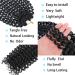 30 Inch Freetress Water Wave Passion Twist Hair for Black Women - Long Bohemian Braiding Extensions (8 Packs 1B) - Buy Online on GoSupps.com