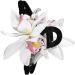 AJOIDR Fabric Flower Hair Claw Clip Spring Hair Barrettes Nonslip Jaw Clip Girl Fabric Hair Claw PonytailHolder Women Headwear White - Buy Online on GoSupps.com