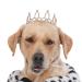 Lovelyshop The phallus collection gold-plated royal saury pearls with fully trained dogs and cats hair accessories in giant. Gold XL