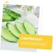 TOYANDONA 10pcs Simulation Cucumber Slice Simulation Green Cucumber Decorative Foam Fruit Realistic Fruit Fake Cheese Fake Cucumber Fake Pineapple Child Fake Vegetables Vegetable Slices Pvc - Buy Online on GoSupps.com
