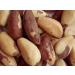 Freshly Roasted & Unsalted Brazil Nuts (2 Lbs.) - Super Crunchy & Delicious - Farm Fresh Nuts Brand - Buy Online on GoSupps.com
