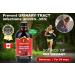 Immunia Urinary Health. Prevent Urinary Tract Infection (Women & Men). Cranberry & Elderberry Concentrate. Natural Antioxidant. Delicious Taste. 5 ml/day. Made in Canada (3-pack) 1 count (Pack of 3) - Buy Online on GoSupps.com