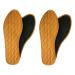 2 Pairs Thin Cinnamon Shoe Inserts for Stinky Feet- Insoles Foot Galadan Osimihome and Shoe Odor Inserts for Women and Men's Shoes for Sweaty Feet and Hyperhidrosis (Size 40)