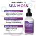 TriGuard Plus Sea Moss - Irish Sea Moss Olive Leaf & Ginger Root Extract Tincture 2 fl oz - Thyroid, Digestion, Immune Support & Energy Boost - Alcohol-Free & Non-GMO - Buy Online on GoSupps.com