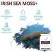 Organic Sea Moss Capsules with Burdock Root, Irish Moss, and Bladderwrack - Immune System Support and Thyroid Supplement - 60 Pills with All-Natural Sea Moss Powder by Dr. Sebi - Buy Online on GoSupps.com