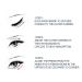 KBTPMTL Awaken Peptide Depuffing Eye Gel - Men's Gentle Care Eye Cream for Puffiness, Dark Circles, Bags, Wrinkles, Fine Lines - Buy Online on GoSupps.com