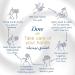 Dove Restoring Ritual with Coconut Oil and Almond Milk Liquid Hand Wash 250ml - Buy Online on GoSupps.com