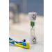AKORD Children's Sandglass Toothbrush Timer - Green, 2 Minutes - Buy Online on GoSupps.com