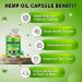 (2-Pack) High Potency Hemp Oil Capsules - 180 Veggie Softgels - 60,000 Maximum Strength, Immune System Support, Focus Calm, Relaxation, Mood, Pure Extract, Organic, Vegan, Non-GMO - Buy Online on GoSupps.com