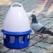 LOVIVER Portable Pigeon Waterer Drinker Cage Accessories Water Pot Container Water Bottle Automatic Bird Water Dispenser for Parrot Parakeet Dove 8L D 22cm H 38CM - Buy Online on GoSupps.com