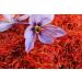 Saffron 1g by Virgolden - Buy Online on GoSupps.com