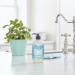 Mrs. Meyer's Hand Soap Mint - Essential Oils, Biodegradable, 3 Pack (12.5 fl. oz Each) - Limited Edition - Buy Online on GoSupps.com