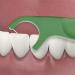 Gum Dual Technique Flosser Picks Complete Whole Mouth Clean Front and Back Reach with Twisted Plaque-Grabbing Floss Fresh Mint Flavour Forest Green 4 Bags X 50ct (200 Flossers) Dual Technique 50 Count (Pack of 4) - Buy Online on GoSupps.com