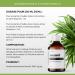 Huile de neem avec mulsifiant - Buy Online on GoSupps.com
