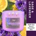 Sage Lavender Scented Candle | 3 Wick 16 Oz Aromatherapy Candle for Home | White Sage Cleansing Candle | Relaxing Soy Wax Candle - Buy Online on GoSupps.com