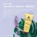The Naked Bee Lavender & Beeswax Absolute Hand and Body Lotion 6.7oz - 2 Pack - Buy Online on GoSupps.com