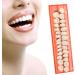 GDZTBS Resin False Teeth - 28pcs Synthetic Fake Teeth Model | Durable Temporary Dentures for International Shipping - Buy Online on GoSupps.com