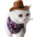WATERBELINE Pet Headwear Funny Cat Hat Cowboy Hat Costume Birthday Western Cowgirl Accessories Pet Headwear Adjustable Cap for Cosplay Cowboy Pink - Buy Online on GoSupps.com