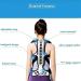 Spinal Protector Back Brace for Adults - Lumbar & Shoulder Posture Corrector | Pain Relief for Men & Women | Small Size - Buy Online on GoSupps.com