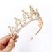 NODG Gold Wedding Tiara for Women - Rhinestone Branches Princess Crown for Wedding, Prom, Bridal Party - Birthday & Halloween Costume Accessory - Buy Online on GoSupps.com