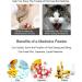 QIYADIN Cat Pill Shooter | Pet Piller Gun for Easy Pet Medical Feeding - Buy Online on GoSupps.com
