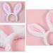 Golden Apple 2 Pcs Christmas Pet Headband Fluffty Bunny Ears Headband Easter Party Puppy Headwear Supplies for Cat Dog (S) - Buy Online on GoSupps.com