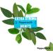 Peppersmith - Extra strong mints - Sugar-free mints - 100% vegetable Xylitol - Natural sweetener - Natural eucalyptus - Breath freshens - Oral health benefits - Pack of - Buy Online on GoSupps.com