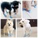 Yeduzyn Waterproof Dog Boots for Small Dogs - Blue Medium (4Pcs) | Snow and Rain Booties for Teddy, Pomeranian, Bichon - Buy Online on GoSupps.com