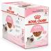 ROYAL CANIN Kitten in Gravy Wet Food 85g (Pack of 24) - Buy Online on GoSupps.com