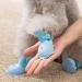 Yeduzyn Waterproof Dog Boots for Small Dogs - Blue Medium (4Pcs) | Snow and Rain Booties for Teddy, Pomeranian, Bichon - Buy Online on GoSupps.com