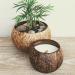 Coconut Shell Candle Scented Soy Essential Oil Infused Candle Natural Wood Wick Made with Coconut Shells Eco-Friendly Coconut Scent