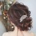 OQKAHIV Set of 2 Bridal Hair Combs with Pearl Flowers and Crystals Accessories for Double Hair Wedding Bridal Hair Decoration - Buy Online on GoSupps.com