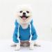 Waterproof Winter Dog Coat - Warm Jacket & Hoodie for Small Dogs | 1024thdebkc-blue XS - Buy Online on GoSupps.com