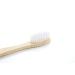 100 Set BIO CORN Disposable Bamboo Toothbrushes with 5g Toothpaste - Individually Wrapped for Travel, Guests, and Hotels - Buy Online on GoSupps.com