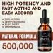 High Potency Hemp Oil 500,000 Extra Strength 2 Pack - Natural Tincture for Relaxation, Sleep, Anxiety & Stress - Organic, Vegan, Non-GMO - 1 Fl Oz (Pack of 2) - Buy Online on GoSupps.com