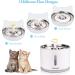 Comsmart 81oz LED Cat Water Fountain - Stainless Steel Automatic Pet Drinking Dispenser - Grey - Buy Online on GoSupps.com