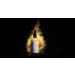 Hagi Natural Body Oil - Chia Seed & Gold Dust Lemongrass & Sunflower Oil for Radiant Skin | 100ml - Buy Online on GoSupps.com