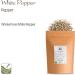White Peppercorns Whole 100g - Premium White Peppercorn Spice - Buy Online on GoSupps.com