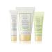 Mary Kay "White Tea & Citrus" Satin Hands Pampering Set Deluxe Mini