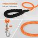 Orange 30M Nylon Reflective Dog Training Lead with Comfortable Handle - Ideal for Recall Training, Hiking, Camping, Walking - 100FT Long Line - Buy Online on GoSupps.com