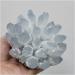 Natural Blue Phantom Quartz Crystal Cluster Rock Stones Reiki Specimen Home Deco Crystal Cluster - Buy Online on GoSupps.com
