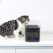 PETKIT Cat Water Fountain 63oz/1.85L - Quiet Hygienic Pet Water Dispenser for Cats & Small Dogs - Auto Power-Off, Filter & LED Light - Dual Working Mode - Black - Buy Online on GoSupps.com