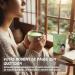 Umami Poudre de Th Vert Matcha BIO - Grade Premium 1 re R colte - Cultiv Uji Kyoto Japon - Superfood nergisant Id al Boire - 50g - Buy Online on GoSupps.com