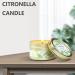 SCENTORINI Citronella Candles - 6x2.5oz Soy Wax Lemongrass Scented Gift Set for Outdoor Patio Garden Camping | Portable Travel Tin Candles - Buy Online on GoSupps.com