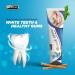 Hemani Meswak Toothpaste 100g | Fluoride-Free Natural Toothpaste | Best Oral & Gum Hygiene | Miswak Sewak Peelu - Buy Online on GoSupps.com